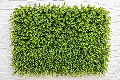 《赛博朋克2077》在线人数破11万 进入Steam热度前十